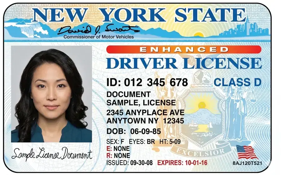 New York State driver license specimen used for OCR testing