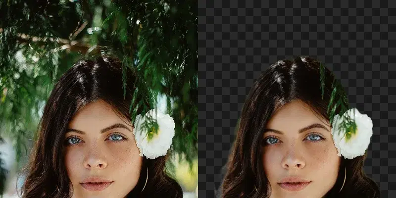 Background Removal demo