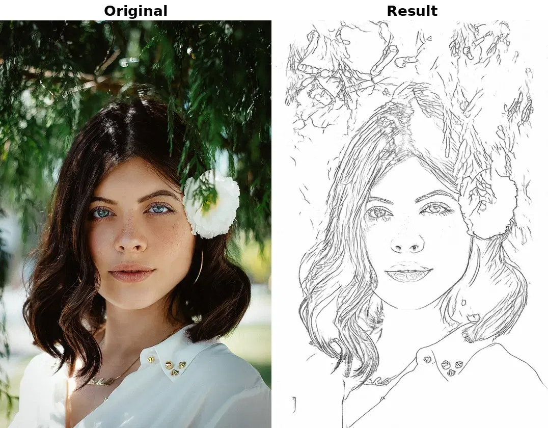 Photo to Portrait demo