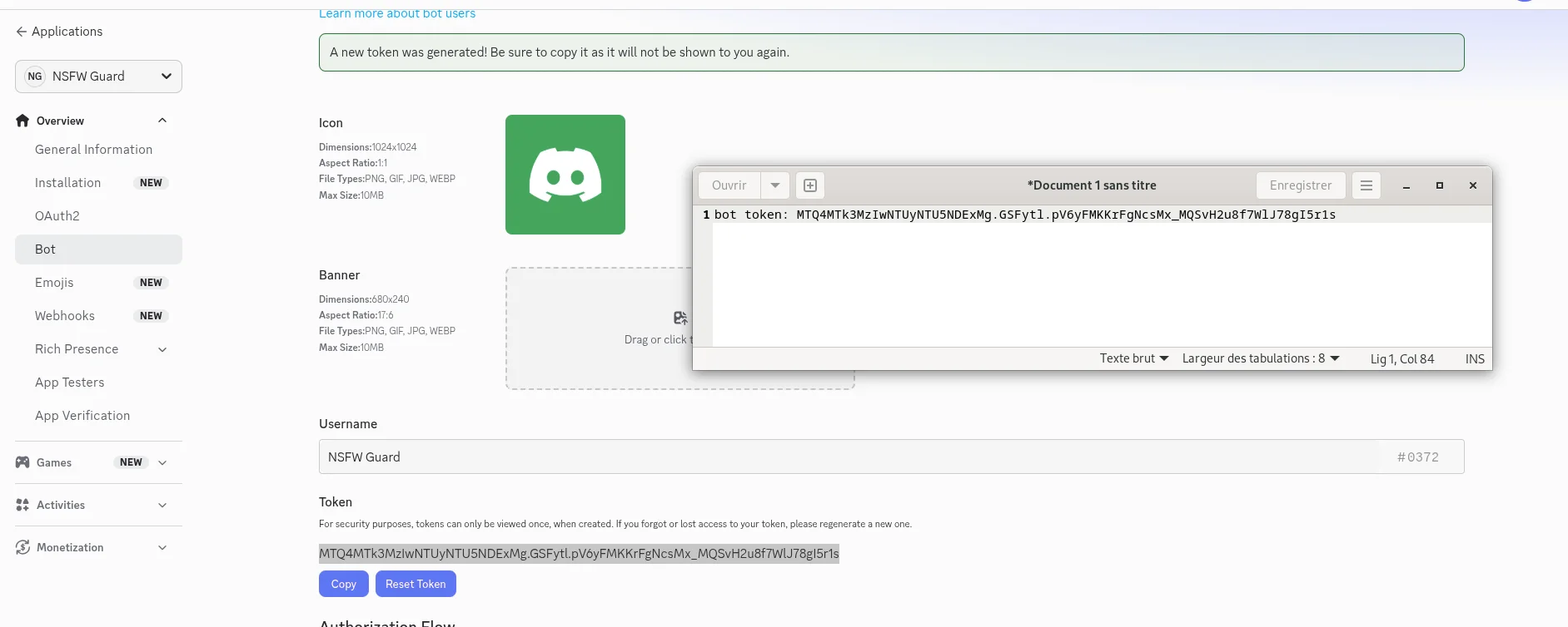 Discord Developer Portal — Bot token section with Reset Token button